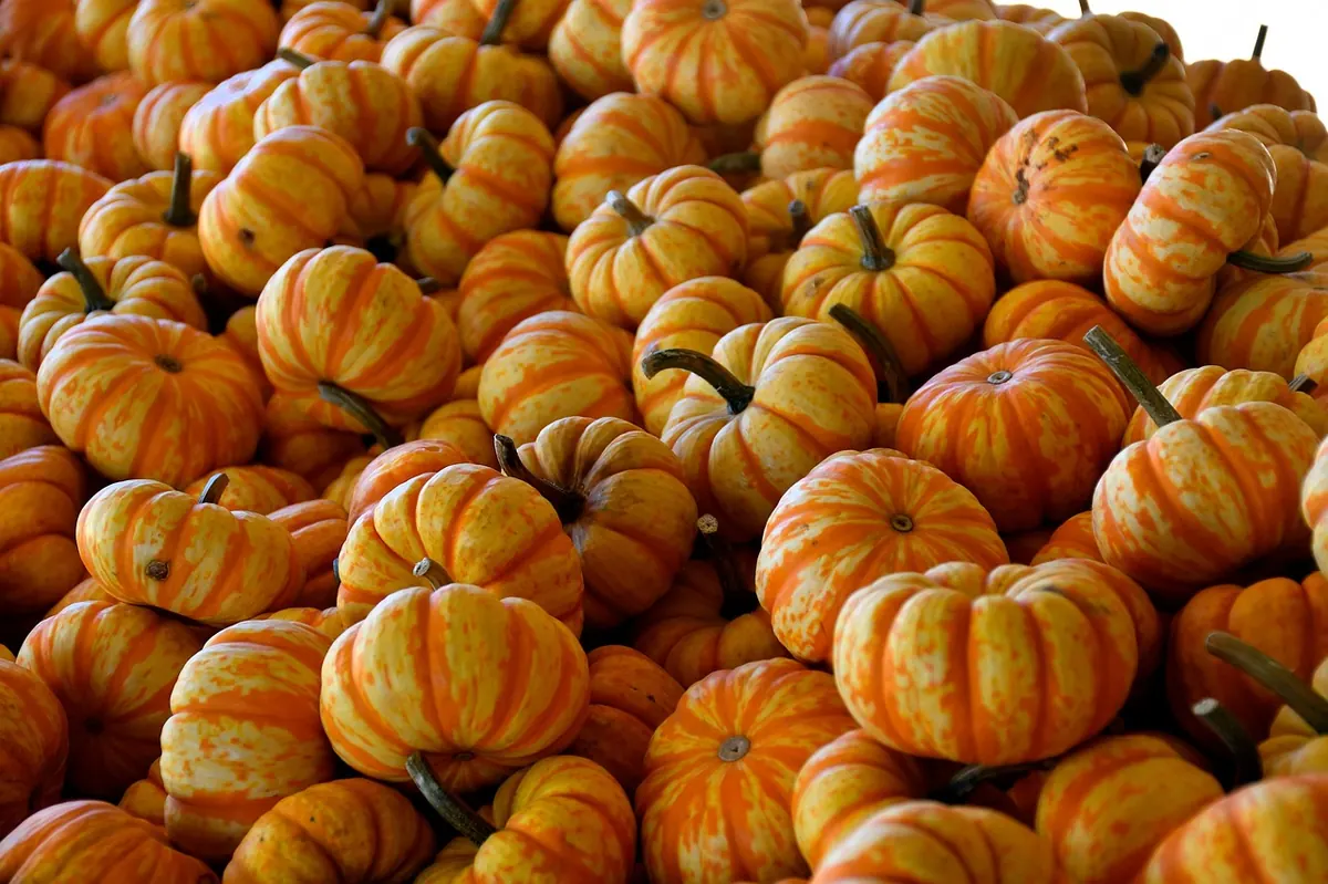 Seasonal Produce Checklist: What to Buy in Early Fall